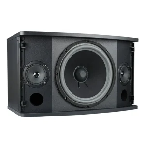 PA-100 200W Big Powered Karaoke PA Professional Bass Speaker Audio System