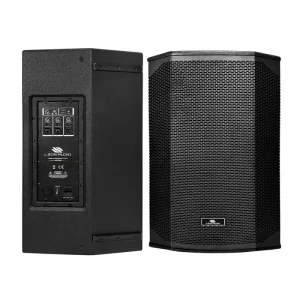 PA Pro Audio Speaker System 15 Inch Active Wooden Speaker Class D Amplifier Bluetooth DSP Wooden Speaker