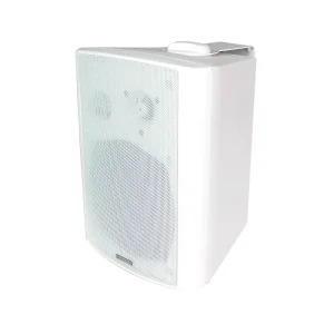 PA System 4/5/6 Inch 2-Way Wall Mount Cabinet Speaker at 20W/30W/40W at 100V White and Black Color Available