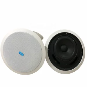 PA System Coaxial Ceiling Speaker 8 Inch 10W 20W 30W 40W 60W Supports WiFi and RJ45 Communication