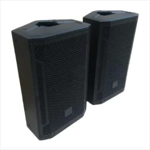 PA System Speaker Professional