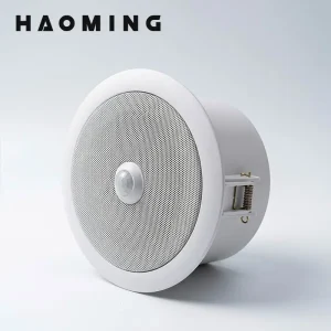 PIR Motion Sensor Ceiling Speaker MP3 Voice Prompter USB Auto Play Indoor Ceiling Mount for Retail Hotel Museum OEM ODM
