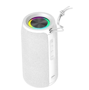 PJT DSP2280 Double Speaker with RGB LED Lights and Battery Support