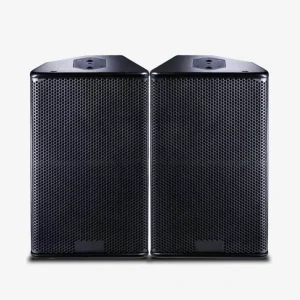 PS 12 12″ Passive PA Speaker System 450W 70-20kHz Full Range for Private Party Entertainment