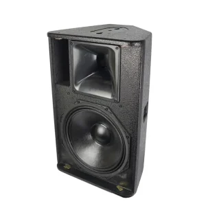 PS12 Single Speaker 12 Inch Professional PA Audio Speakers Indoor Audio
