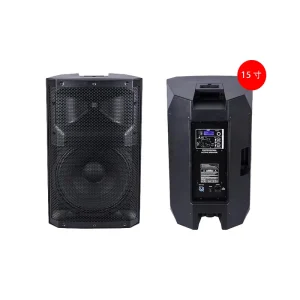 PV15 15 Inch 600W Professional Active Square DJ Stage Home Theatre Cinema Audio Plastic Full Frequency PA Speaker
