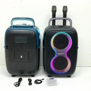 Partyone Club 650W Outdoor Waterproof Portable Wireless Party Bass Subwoofer Speaker with Dual Microphone