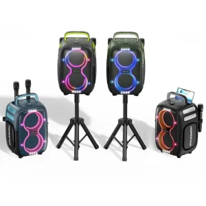 Partyone Club Party Speaker Outdoor Wireless Subwoofer RGB Lights Karaoke Speaker Home Theatre Loudspeaker with Mic