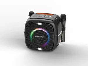 Partyone Waterproof Outdoor Portable Bluetooth Karaoke Speaker with Dual Mic and 10000mAh Battery
