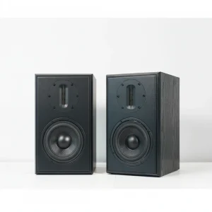 Passive Wooden Enclosure 100W 5.25″ Woofer 2 Way Computer Stereo Studio Audiophile Hifi Home Theater System Bookshelf Speaker