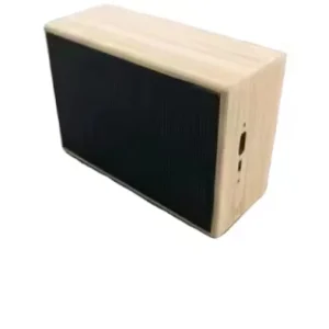 Plastic BT Speaker Mini Portable Home Theatre Party Outdoor Audio System Wireless Charging for Mobile Phone for Digital Memory