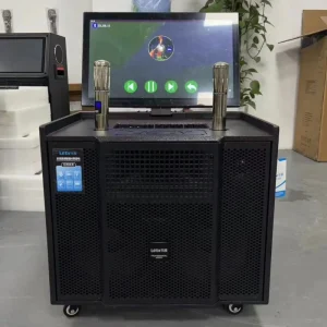 Popular Multifunctional Wooden Box Trolley BT Speaker with Big Monitor and Double UHF Microphone