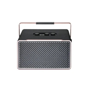 Portable 6.5 Inch Karaoke Speaker Dual Wireless Microphones 200W High Power Outdoor Bluetooth Party Speaker