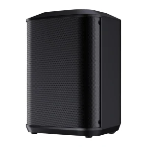 Portable 8 Inch PA Speaker with Bluetooth Guitar MIC Input Multi Channel DSP Control 100W Rechargeable Plastic Sound System