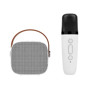 Portable Audio Dual Microphone Karaoke Conference Dedicated Outdoor Camping Wireless 5.0 5W Output 500-1000mAh Speaker