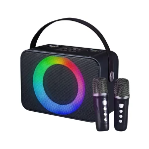 Portable Bluetooth Karaoke Mic Dual Wireless RGB Flashing Lights USB SD Card Player Rechargeable Battery