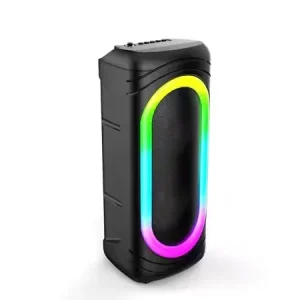 Portable Bluetooth Karaoke Speaker with Double 4 Inch Woofer RGB LED Lighting Audio System Sound