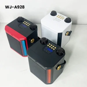 Portable Bluetooth Karaoke Speaker with Dual Wireless Microphone RGB LED Light for Home Party Outdoor