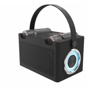 Portable Bluetooth Speaker 16W Powerful Sound LED Lights Wireless Karaoke Microphone Voice Change Mode Loudspeaker