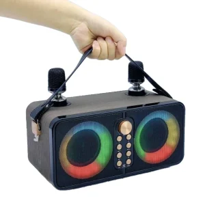 Portable Bluetooth Speaker Home Dual Microphone Sound System Outdoor KTV Subwoofer Bluetooth Speaker