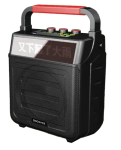 Portable Bluetooth Speaker With Wireless Microphone for Party