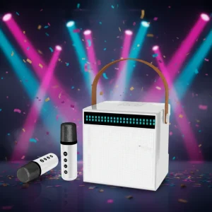 Portable Custom Wireless V5.3 Karaoke Speaker Dual Microphone IPX2 Waterproof Voice Control Colorful LED
