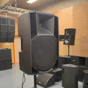 Portable Floor Standing Loudspeaker with Ferrite or Neodymium Speakers and Bluetooth Support