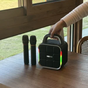 Portable Karaoke Speaker with Two Digital Microphones Lightweight for Parties and Indoor Use