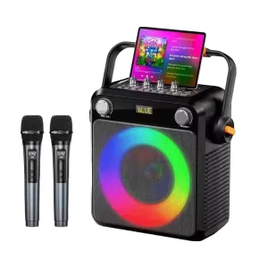 Portable Metal Karaoke Speaker with RGB LED Lighting and 2 Wireless Microphones for Computer Use