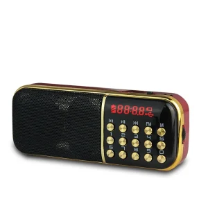 Portable Mini Digital Speaker FM Radio With Flashlight Stereo