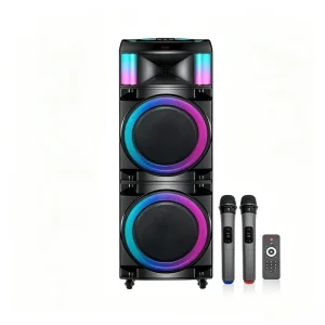 Portable Outdoor Party Speaker 100W With Integrated Trolley Wheels USB TF AUX FM Port for Home Family Karaoke