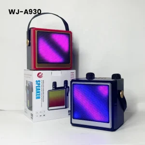 Portable Outdoor Party Use V5.3 Dual Mic Karaoke Amplifier Custom Logo RGB LED Light Plastic Wireless for Speaker
