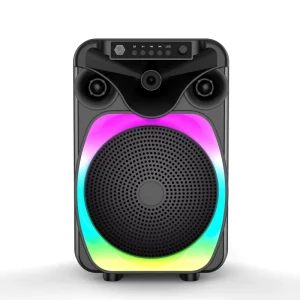 Portable Outdoor Subwoofer Woofer Wireless Karaoke Machine Party Speaker