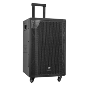 Portable PA Speaker 12″ Rechargeable Indoor Outdoor BT Karaoke Audio System LED Display FM AUX MP3 USB