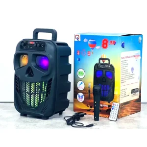 Portable Plastic Wireless Microphone Remote Control USB XLR RCA LED RGB Light with BT TF FM AUX 10W 8-Inch Party Speaker Karaoke