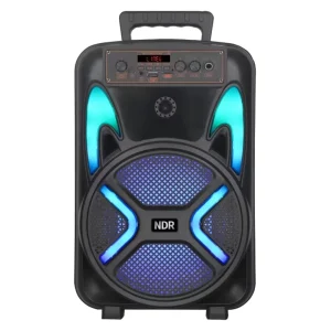 Portable RGB Karaoke Speaker with VHF Microphone for Bluetooth Connectivity for Mobile Phones for Home Use