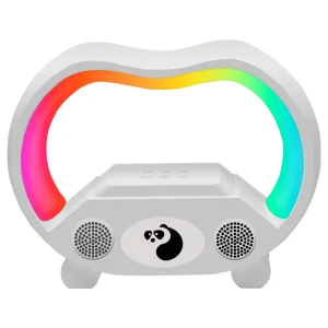 Portable RGB LED Wireless Speaker Rechargeable Night Light 5-10W Output Party Home Teens Music AUX USB Battery APP