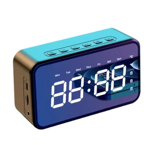 Portable Speaker