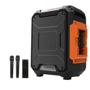 Portable Speaker with Microphone Wireless Active PA Speaker System Indoor and Outdoor DJ Sound Stereo Loudspeaker
