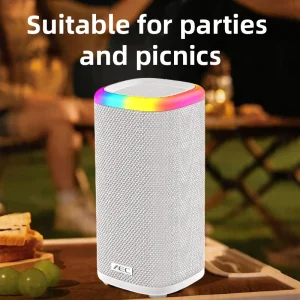 Portable Speaker with RGB Light IPX5 Waterproof TF Card & USB Music Player for Outdoor DJ Parties and Picnics