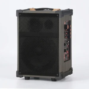 Portable V5.0 Speaker with RGB Sync Light Aux & Battery Plastic Cabinet Deep Bass for Home Party & Beach