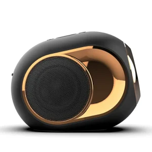 Portable V5.3 Music Speaker TWS Wireless Subwoofer Built-in Microphone Call Function Card-slot Smart Audio