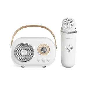 Portable Wireless Bluetooth Karaoke Speaker Microphone 6 Sound Effects TF Card FM Radio for Singing Hosting Home Party