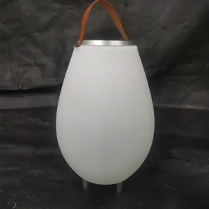 Portable Wireless Speaker RGB LED Lighting Waterproof Speaker