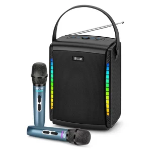 Portable Wireless Speaker with Dual Microphones LED Lights Bluetooth 5.3 3-6H Playtime Home KTV Outdoor Party Audio System