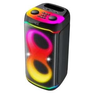 Portable Wireless Studio DJ Party Karaoke Speaker Dual 5 Inch High Power Bass RGB LED Outdoor Stage Computer Use