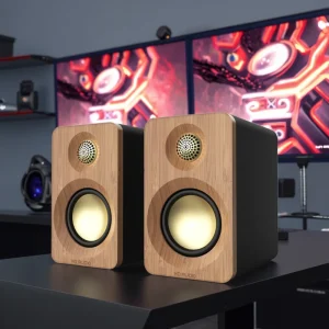 Private 2.0 High power 150W 5.3 Speaker Active Subwoofer Suitable for Home Desktop Computers