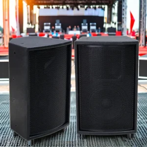 Pro Audio 6 8 10 12 15 Inch Speakers Professional