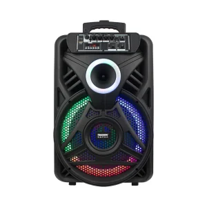 Professional 12 Inch PA Loudspeaker Stage Karaoke Party Speaker Outdoor Wireless Music Trolley Speaker