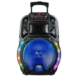 Professional 12” Trolley Speaker PA System with Disco Light BT Audio